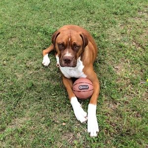 Meet your Posher, Travis